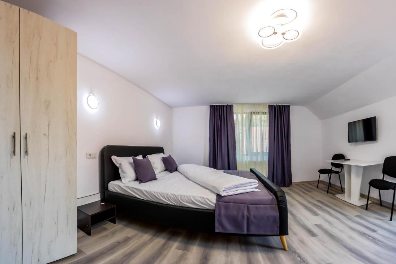 Hotel Pensiunea D & Ylan à Novaci-Străini Extérieur photo